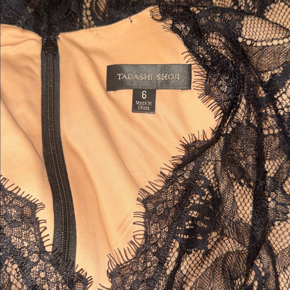 NWOT Tadashi Shoji Lace & Mesh black & nude Midi Cocktail Dress sz 6 - Picture 6 of 8
